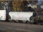 CBFX 313788